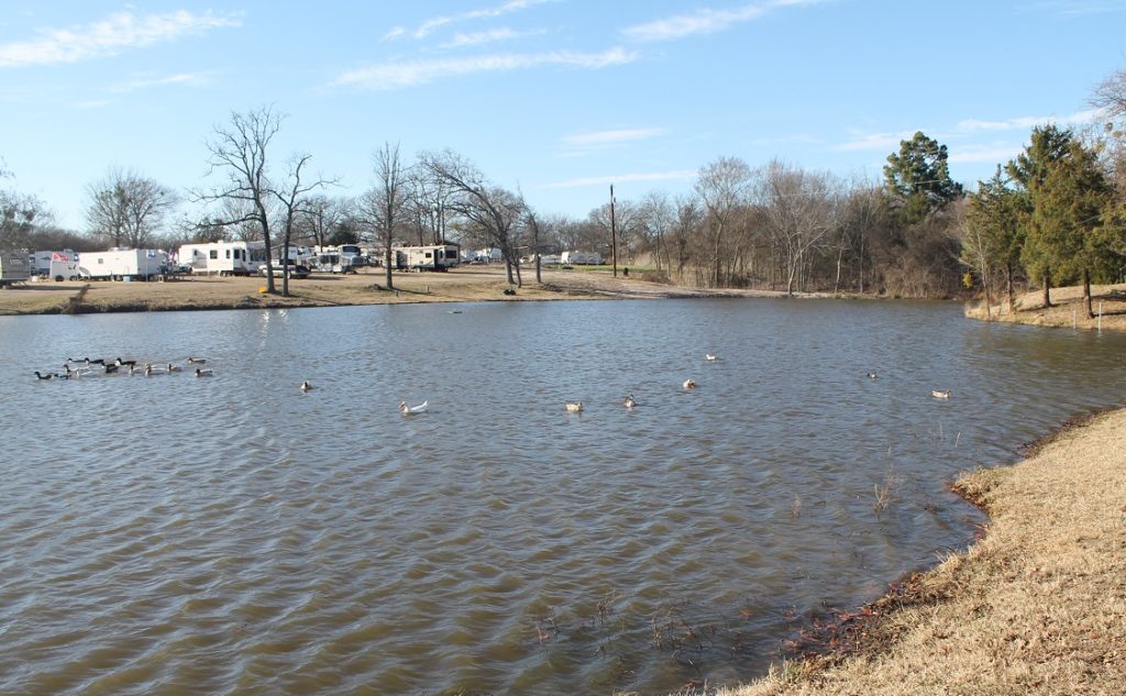 Shady Lake RV Park, Sulphur Springs, Texas, East Texas, Dallas, RV, Camping